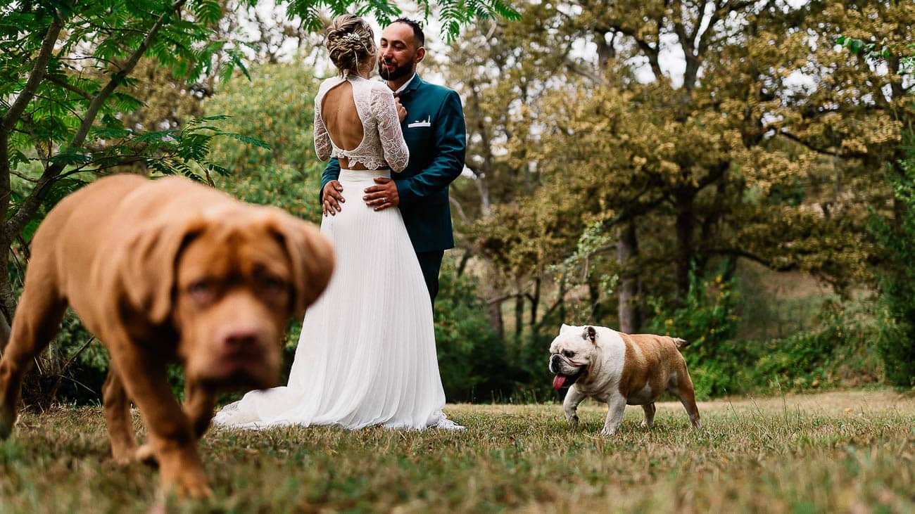 photos de couple avec chien